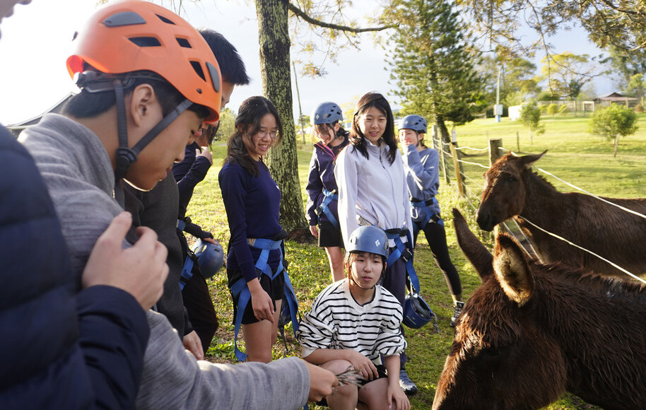 Unveiling ‘Balance and Beyond’: The ABLE Journey Documentary