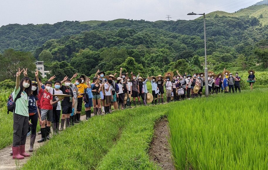 2022年5月19日及5月21日  大埔林村水稻種植學習體驗